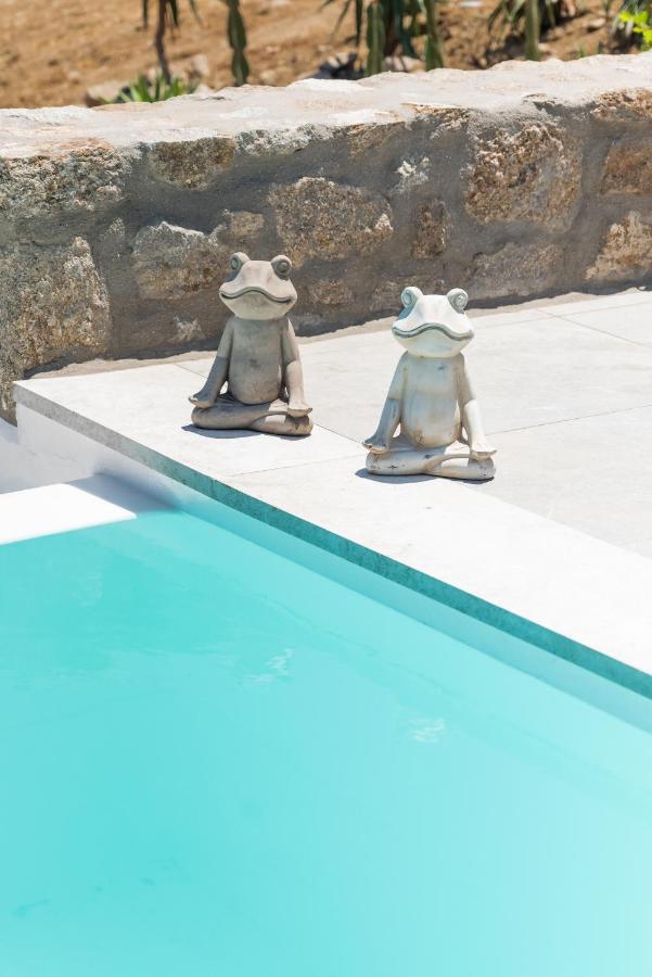 Dioni Villa Mykonos Paraga  Bagian luar foto