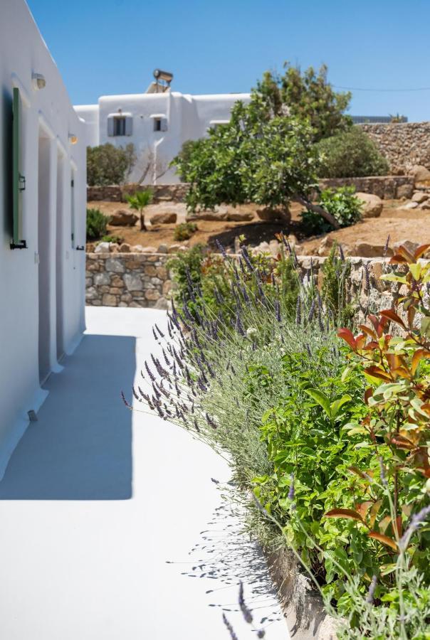 Dioni Villa Mykonos Paraga  Bagian luar foto